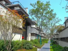 龙兴 金科御临河星空三房163万