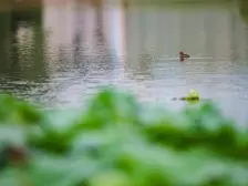 龙兴 金科御临河星光二房172万