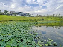 龙兴 金科御临河星光二房136万