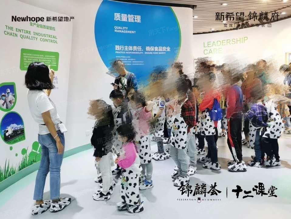 新希望锦麟府活动现场