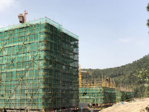 湖山一品实景图