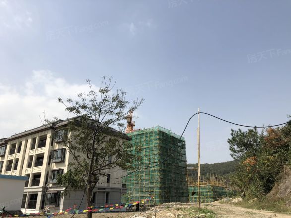 湖山一品实景图