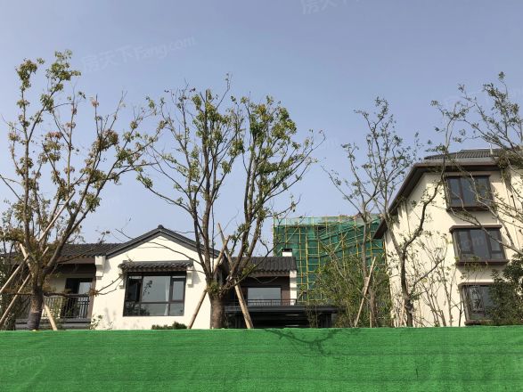 湖山一品实景图