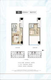 鼎创财富中心2室2厅2卫建面45.00㎡