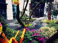 金科集美天悦 3室2厅 南