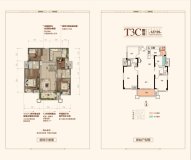 飞洋龙岸三期T3C户型