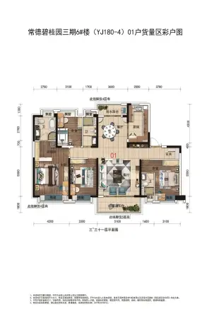 常德碧桂园三期户型图