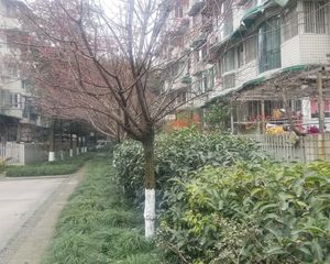 亲河名居A区4室2厅南北