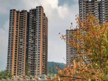 海棠溪 和记黄埔御峰三期(御峰尚都)三房135万