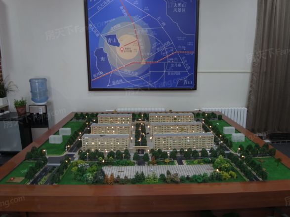 金洋合院实景图