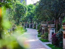 海棠溪 和记黄埔御峰三期(御峰尚都)三房240万