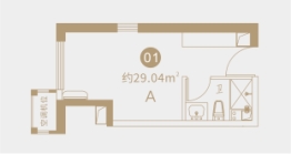 卓越中寰1室1厅1厨1卫建面29.04㎡