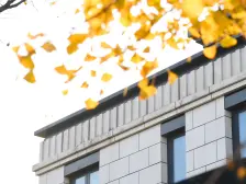 纯别墅小区 联排边套 土建已做好 看房有钥匙 随时可看