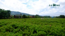 东方御景大洞山景区1