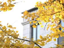 纯别墅小区 联排边套 土建已做好 看房有钥匙 随时可看