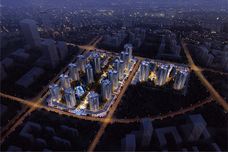 石竹盛璟东方[江津]