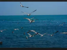 华悦新城北区 2室1厅 南 北