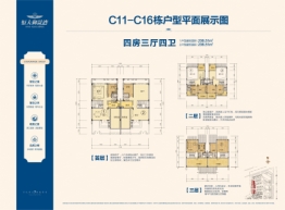 怀化恒大御景湾4室3厅4卫建面236.51㎡