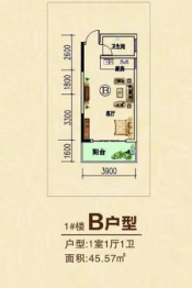 东润佳苑1室1厅1厨1卫建面45.57㎡