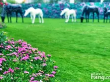 里悦里复式两房,碧桂园物业,带租约。