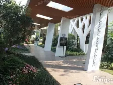 碧桂园·万象松湖 2室1厅 西南