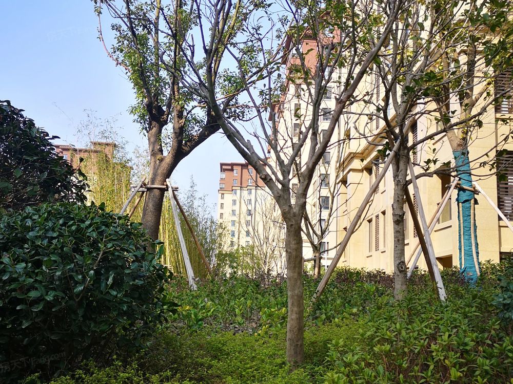 小区相关图