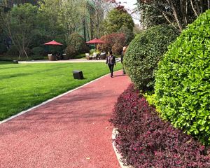 金色阳光名邸 4室2厅 南