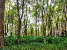 电梯房,主卧朝南,业主急售,品质小区,近地铁