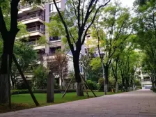 洋房社区,端户,自带80平花园地下室