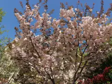 弘邦宝第 3室2厅 南 北