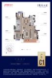 金科集美天宸108平米C1户型