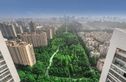 中环凯旋宫实景图