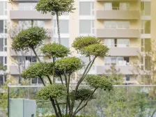 精装修 改善五房 洋房平层 诚心出售