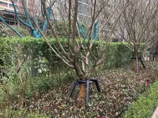 两梯两户、独立入户的品质四房。板式结构、通透采光好