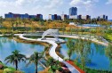 保利和光屿湖实景图