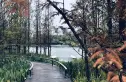 保利和光屿湖实景图