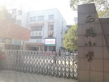 白鹤小学