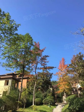 花水湾国际度假区实景图