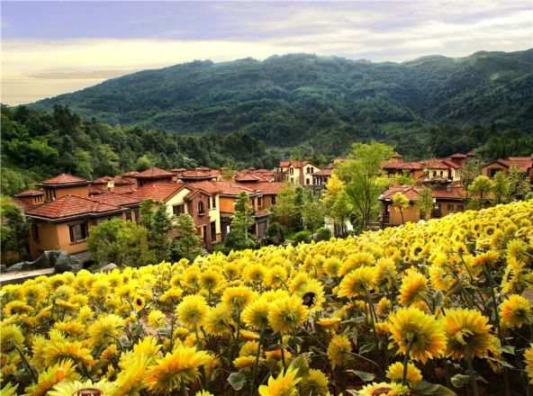 花水湾国际度假区实景图