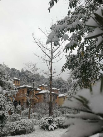 花水湾国际度假区实景图