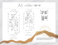 建面约220平下叠A1户型