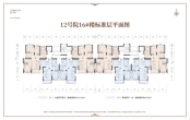 12号院16#标准层平面图