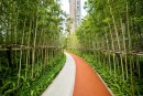 万科又一城实景图