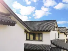 独栋 温泉入户 地上两层 地势平整 无台阶 大院