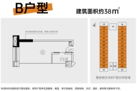 B户型38㎡