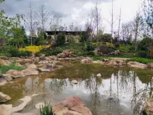 大名城红星天铂小三室毛坯低价出售