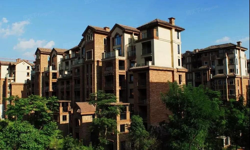 花园洋房 可做5房 185万