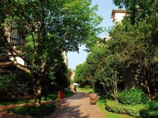 新小区,环境好!临滨江路,龙湖,万达,轻轨