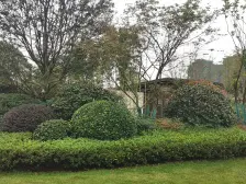 近轻轨叠拼别墅,带前后花园,带地下室