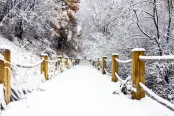 景区-雪景